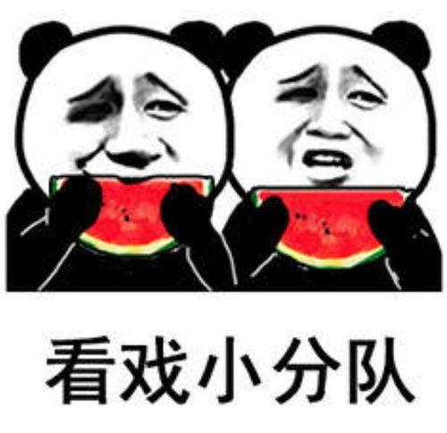 吃瓜表情包 观众,吃瓜群众视角下的娱乐圈风云