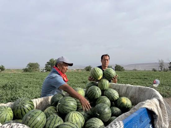 芜湖镜湖区吃瓜事件,一场网络热议背后的真相探寻