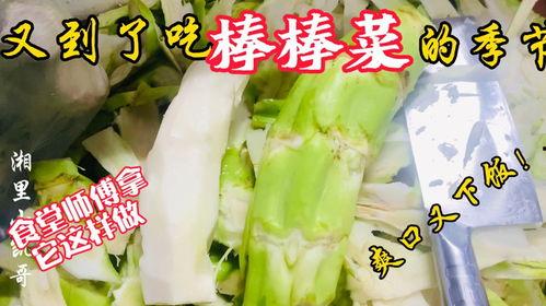 奉节教师吃瓜,揭秘校园里的“瓜田”风云