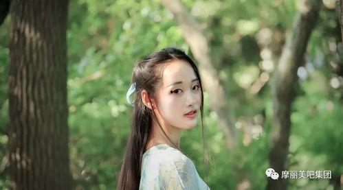 腹有诗书气自华女明星,探寻腹有诗书的女明星风采