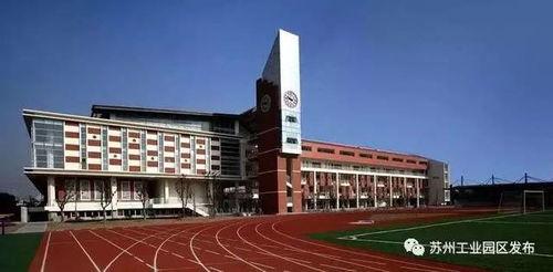 包头苏蒙学校爆料视频最新,揭秘校园内幕