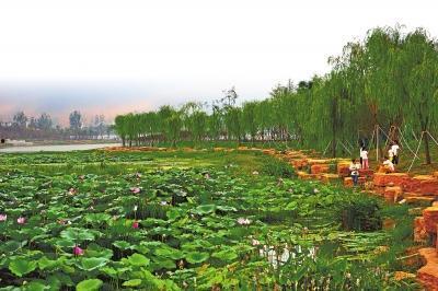 息县网红水,探寻息县独特水源之谜