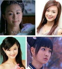 明星有图片种子,明星图片种子背后的故事与魅力