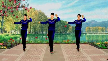 网红广场舞残雪附分解,魅力四溢的舞蹈艺术之旅