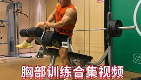 国内健身网红男,国内健身网红男生的健身之路