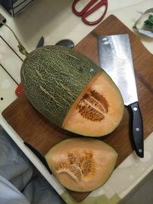 网红哈密瓜果切,甜蜜诱惑，视觉盛宴