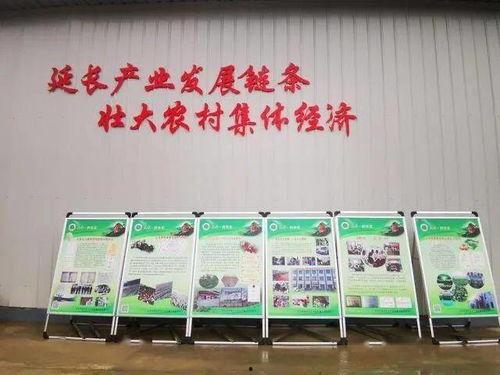 深圳今日头条蔬菜,新鲜蔬菜直供，尽享健康生活新篇章