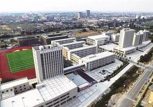 高邮赞化学校明星,培育未来的璀璨之星