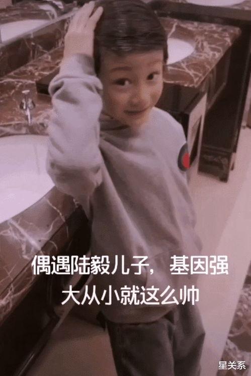 鲍蕾爆料陆毅视频,揭秘明星夫妻背后的故事