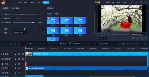 头条用什么软件剪辑,轻松打造吸引眼球的标题