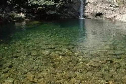 成都头条小鱼洞,古韵水乡的静谧时光