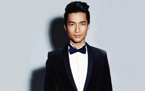 各个省市明星有哪些,中国明星省市分布概览