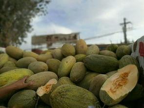 河北铺吃瓜么,揭秘吃瓜群众的欢乐盛宴
